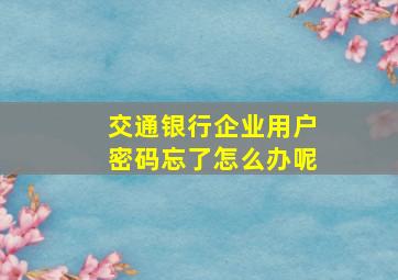 交通银行企业用户密码忘了怎么办呢