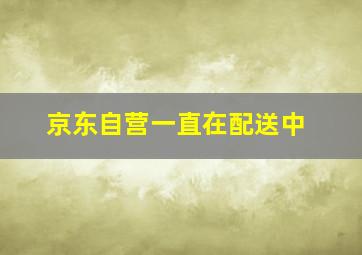 京东自营一直在配送中