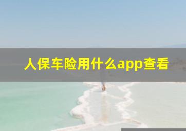 人保车险用什么app查看