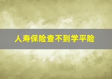 人寿保险查不到学平险