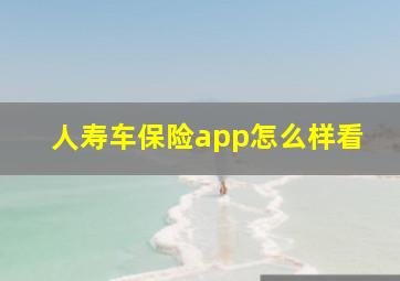 人寿车保险app怎么样看