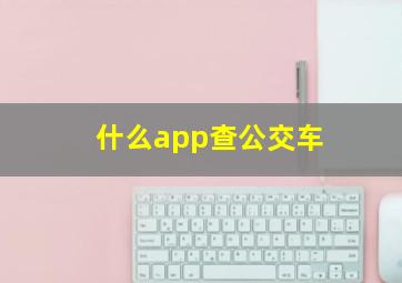 什么app查公交车