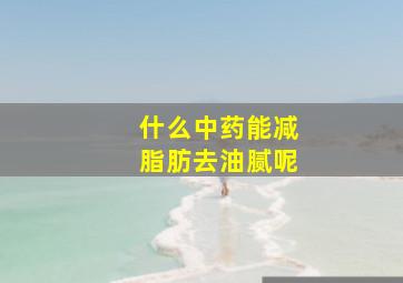 什么中药能减脂肪去油腻呢