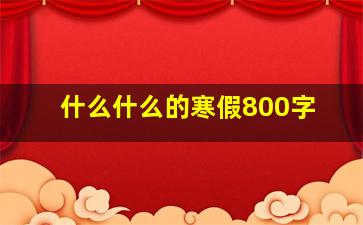 什么什么的寒假800字