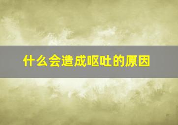 什么会造成呕吐的原因