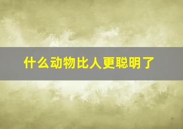 什么动物比人更聪明了