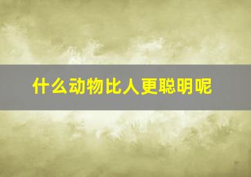 什么动物比人更聪明呢