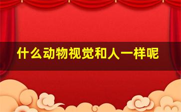 什么动物视觉和人一样呢