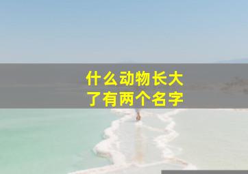 什么动物长大了有两个名字