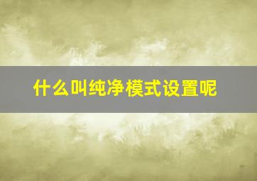 什么叫纯净模式设置呢