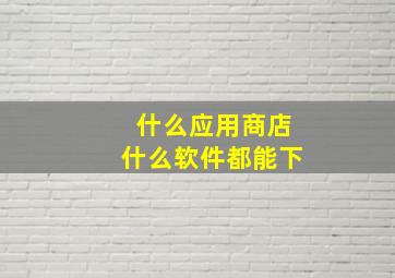 什么应用商店什么软件都能下