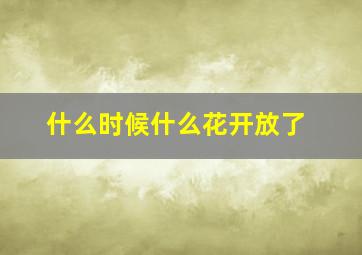 什么时候什么花开放了