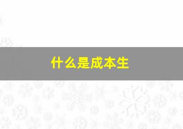 什么是成本生