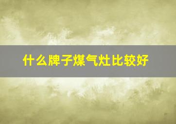 什么牌子煤气灶比较好