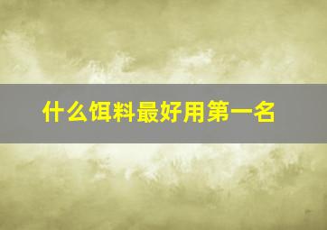 什么饵料最好用第一名