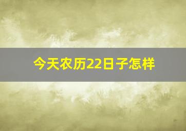 今天农历22日子怎样