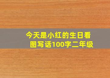 今天是小红的生日看图写话100字二年级