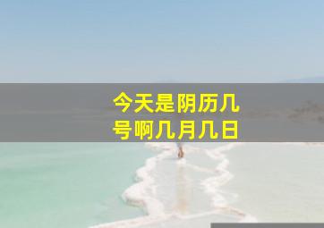 今天是阴历几号啊几月几日