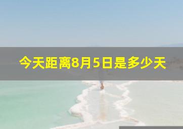 今天距离8月5日是多少天