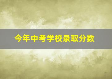 今年中考学校录取分数