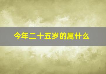 今年二十五岁的属什么