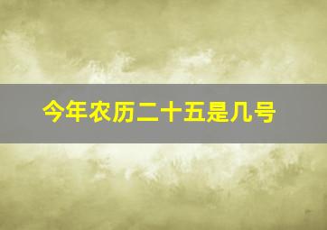 今年农历二十五是几号