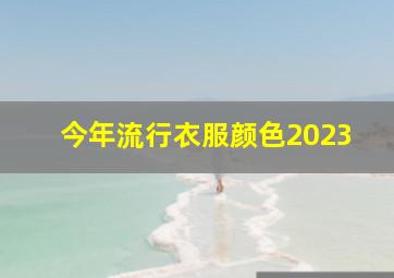 今年流行衣服颜色2023