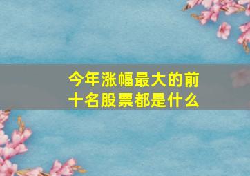 今年涨幅最大的前十名股票都是什么