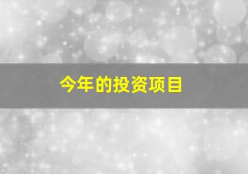 今年的投资项目