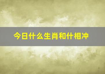 今日什么生肖和什相冲