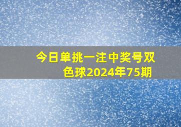 今日单挑一注中奖号双色球2024年75期