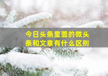 今日头条里面的微头条和文章有什么区别