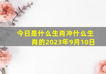 今日是什么生肖冲什么生肖的2023年9月10日