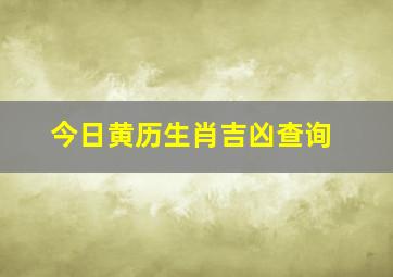 今日黄历生肖吉凶查询