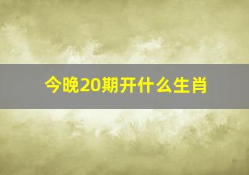 今晚20期开什么生肖