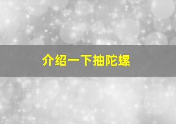 介绍一下抽陀螺