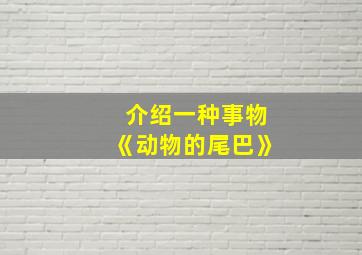 介绍一种事物《动物的尾巴》