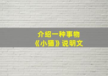 介绍一种事物《小猫》说明文