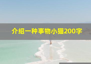 介绍一种事物小猫200字