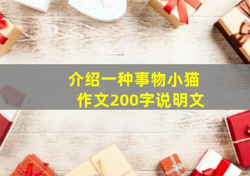 介绍一种事物小猫作文200字说明文