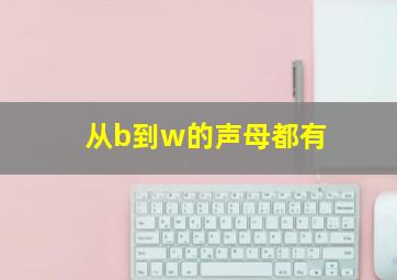 从b到w的声母都有