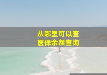 从哪里可以查医保余额查询