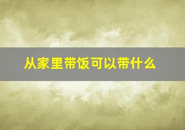 从家里带饭可以带什么