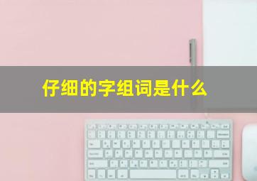 仔细的字组词是什么