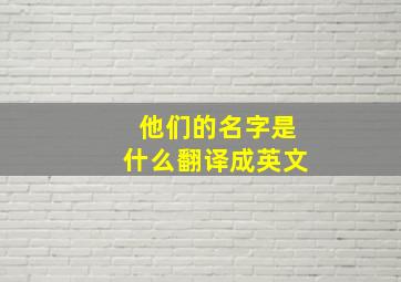 他们的名字是什么翻译成英文