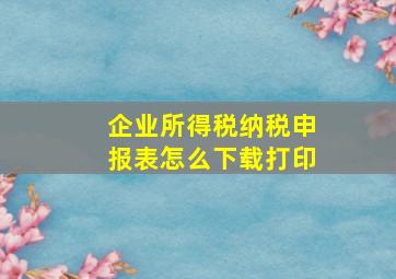 企业所得税纳税申报表怎么下载打印