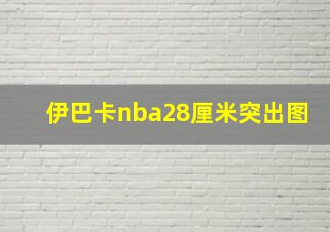 伊巴卡nba28厘米突出图