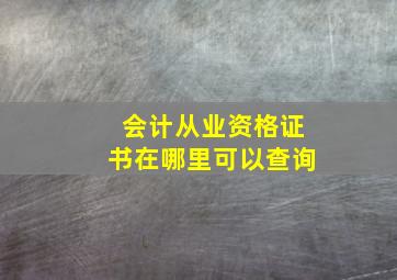 会计从业资格证书在哪里可以查询