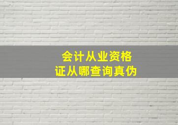 会计从业资格证从哪查询真伪