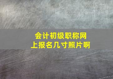 会计初级职称网上报名几寸照片啊